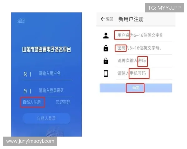 1号平台注册：详细操作流程与常见问题解决指南，帮助新手快速上手游戏账号注册